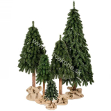 Vianočný stromček Smrek horský na pni 210cm