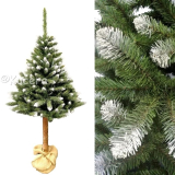 Vianočný stromček Smrek Konrad na drevenom pni 180cm