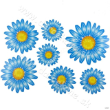 Samolepky kvety modré 7ks