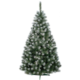 Vianočný stromček jedlička Beata 180cm biele končeky konárikov