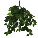 Ťahač Pothos panašovaný 63cm