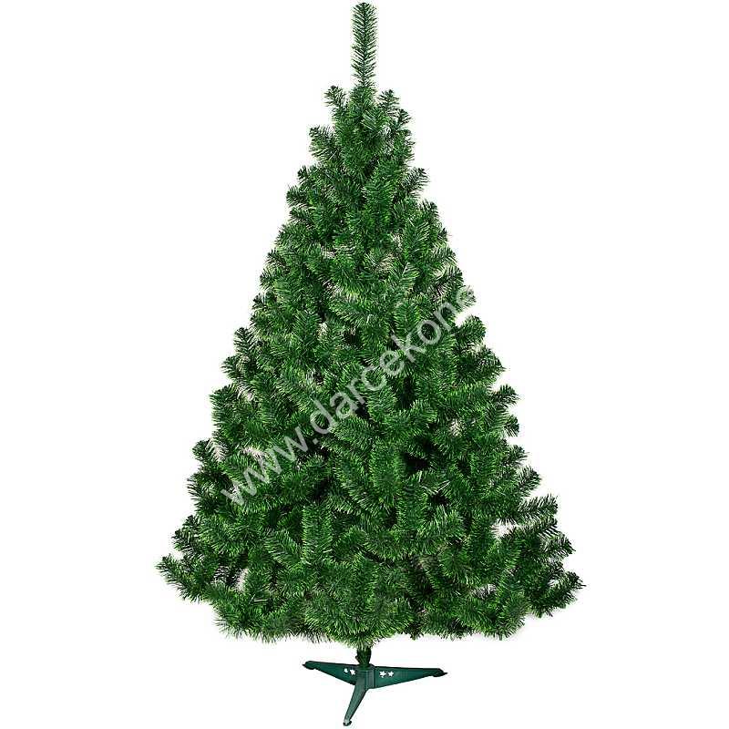 Vianočný stromček 180cm smrek Tomek