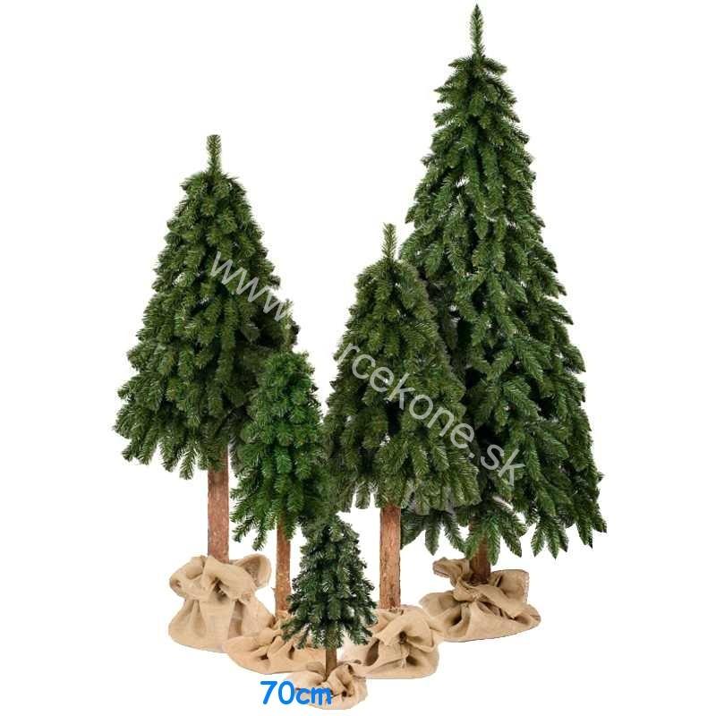 Vianočný stromček Smrek horský na pni 70cm
