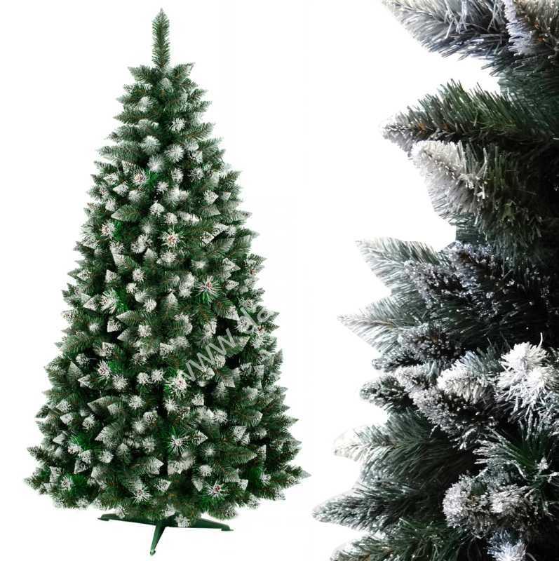 Vianočný stromček jedlička strieborná 240cm Verona