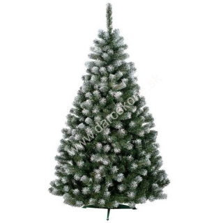 Vianočný stromček jedlička Beata 90cm biele končeky konárikov