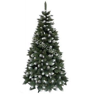 Vianočný stromček Borovica Iza 120cm