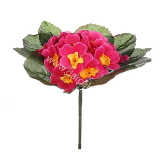 Prvosienka jarná ružová 23cm