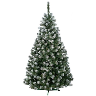 Vianočný stromček jedlička Beata 120cm biele končeky konárikov